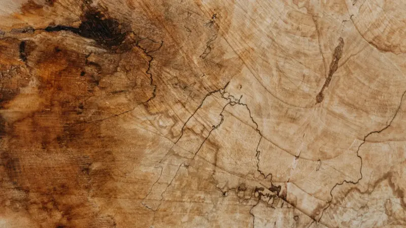 materiale legno header